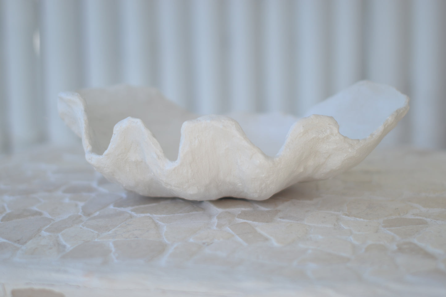 Thalassia Bowl