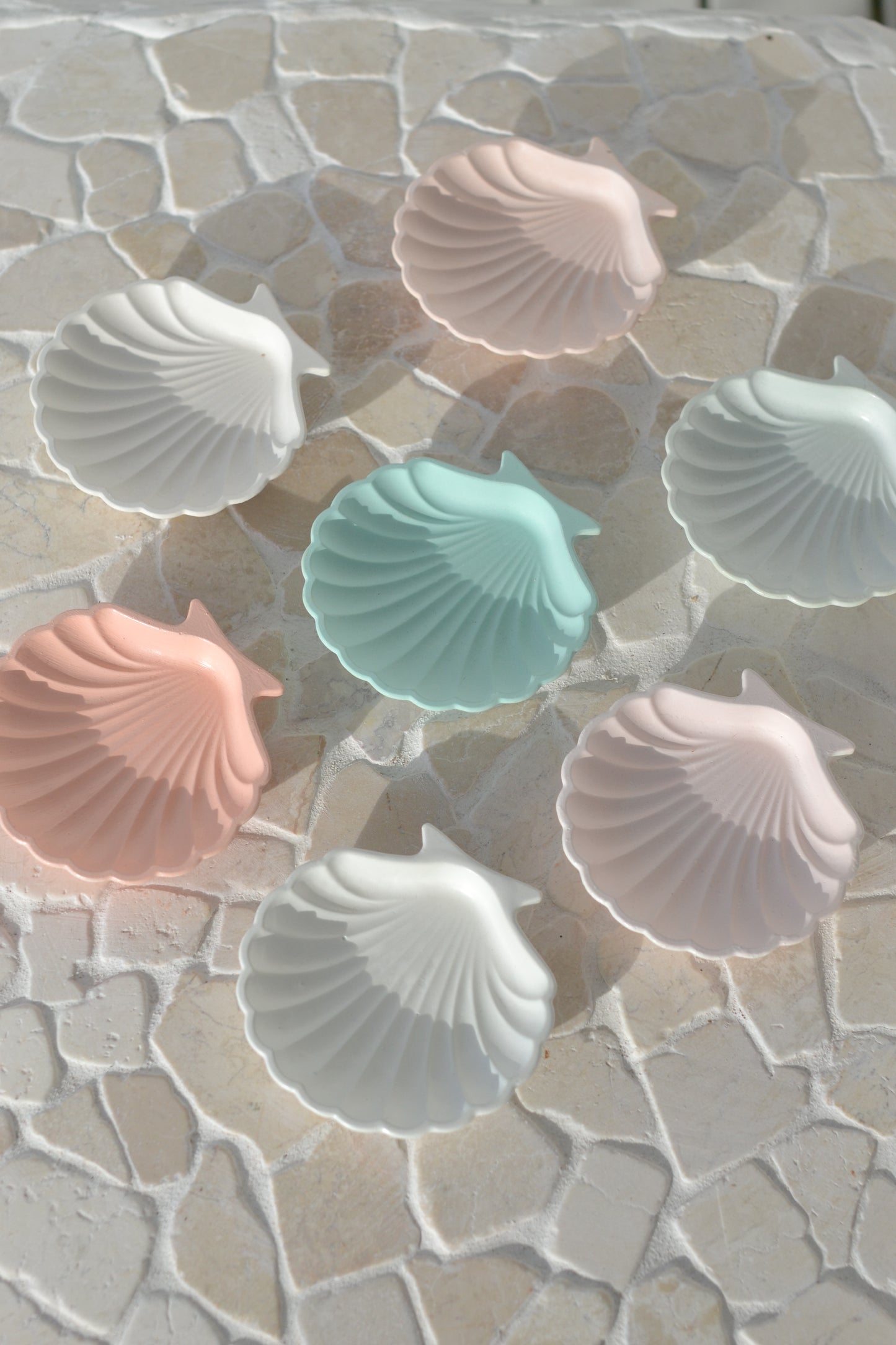 Clam Shell Tray
