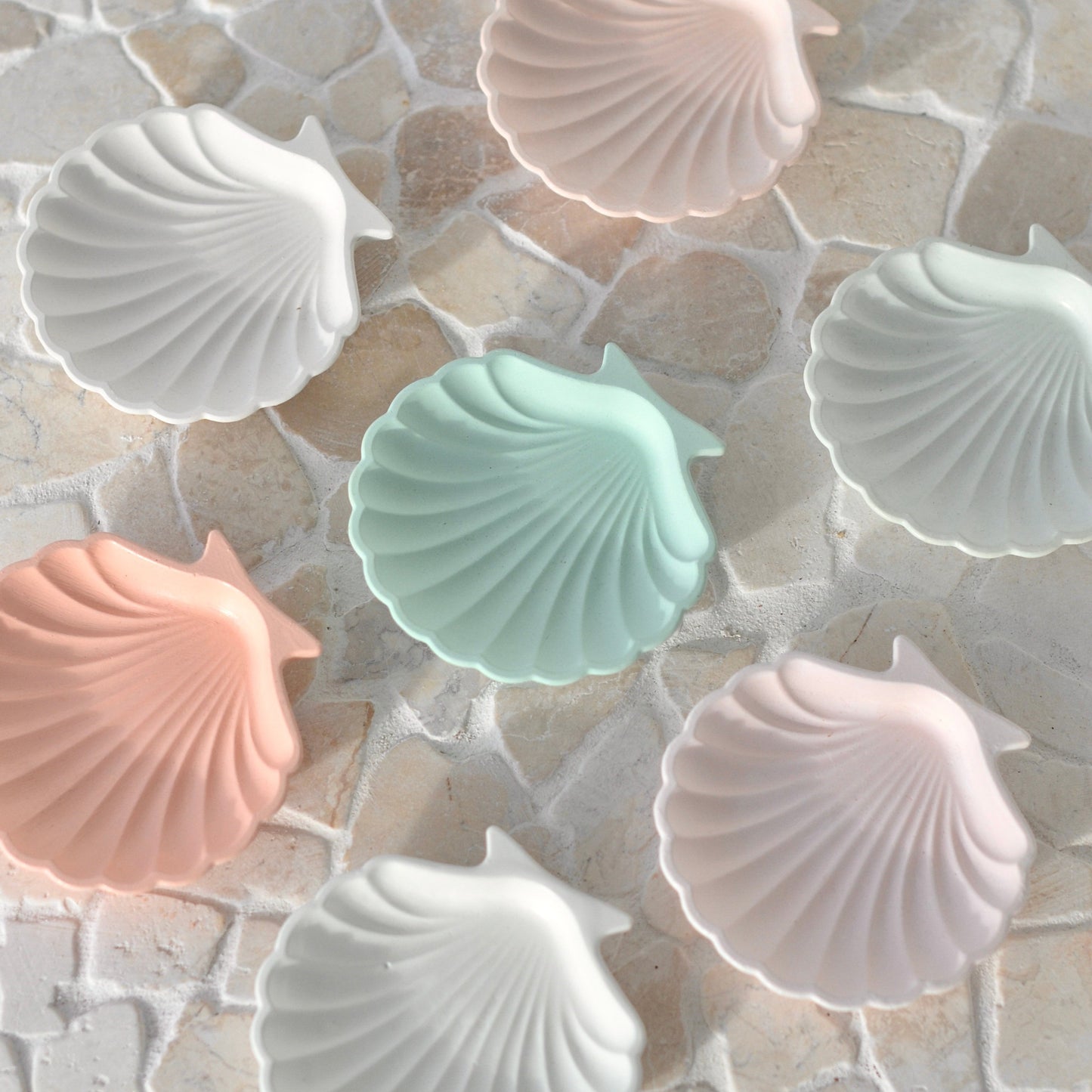 Clam Shell Tray